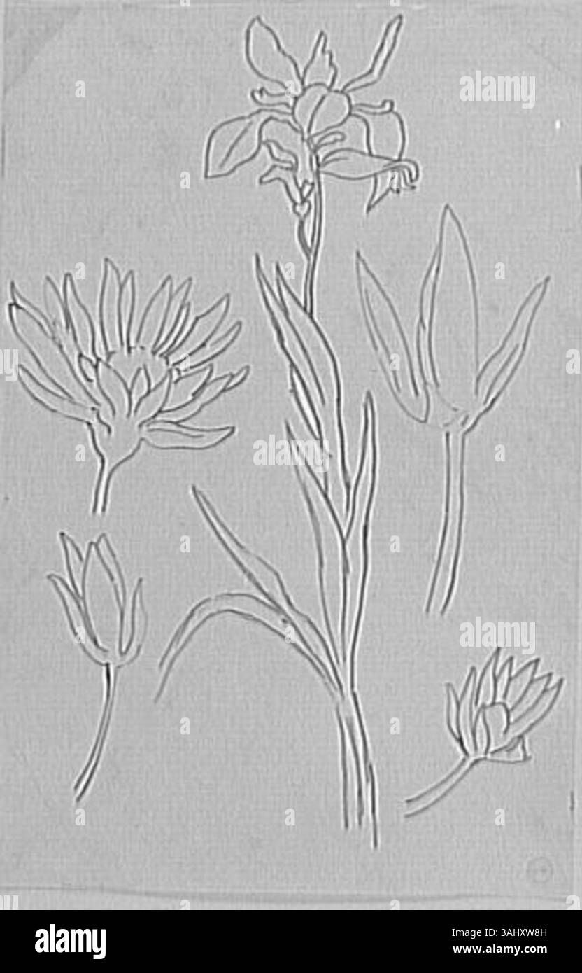 'Feuille d'études de fleurs pour les filles de Thespius' de Gustave Moreau est une étude détaillée des fleurs pour son travail représentant les filles de Thespius. Créée entre 1850 et 1895, cette œuvre met en lumière le savoir-faire de Moreau en illustration botanique, en mettant l’accent sur le symbolisme et la délicatesse des fleurs. Banque D'Images