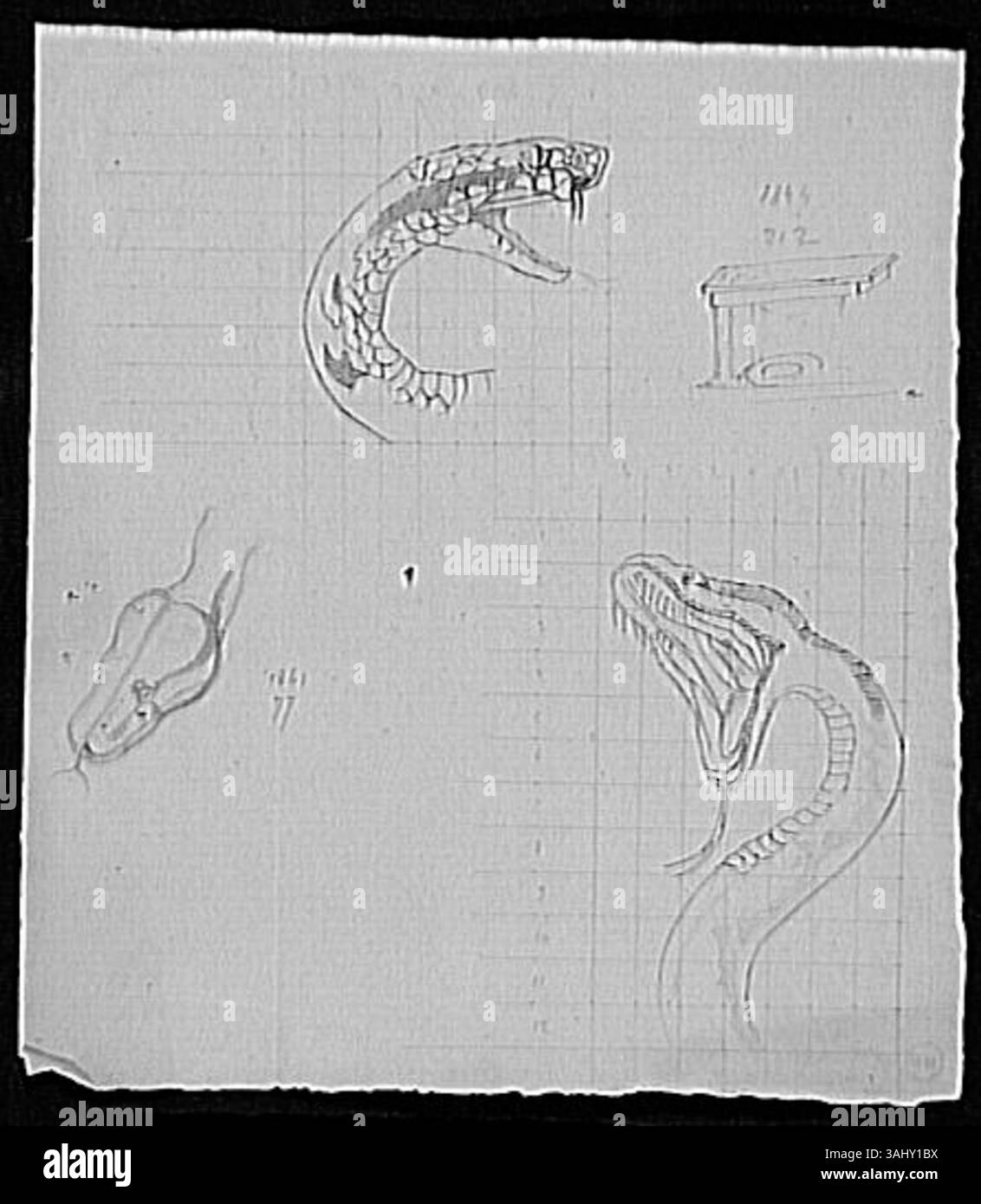 Les études de têtes de serpents et d'autel ou de table de Gustave Moreau, créées entre 1850 et 1895, comprennent des études de têtes d'animaux (serpents) et d'objets (autel, table). L'esquisse met l'accent sur les détails anatomiques et la conception de l'objet. Il est logé au musée Gustave Moreau. Banque D'Images