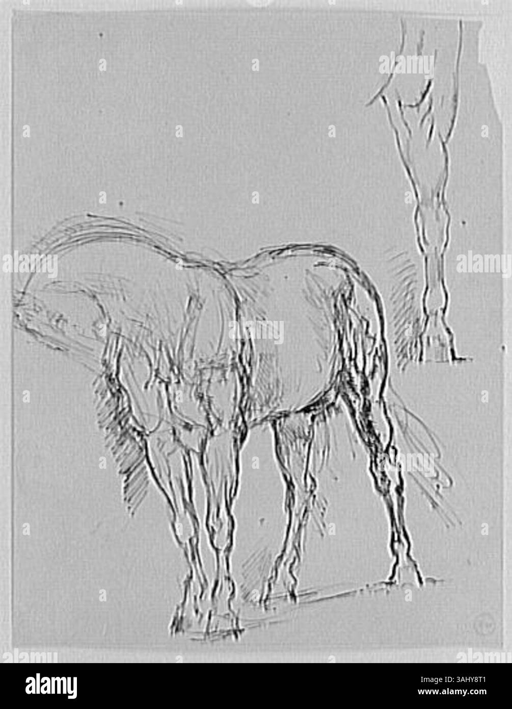 Les études de cheval et d'une patte de cheval de Gustave Moreau (1826-1898) sont une étude d'un cheval et de sa jambe. Cette œuvre, réalisée entre 1850 et 1895, fait partie de la collection du Musée Gustave Moreau et met en valeur l’attention de Moreau pour l’anatomie animale. Banque D'Images