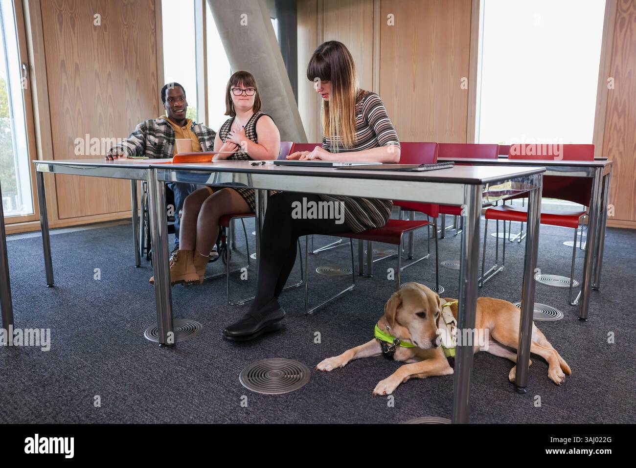 Collègues handicapés dans le bureau moderne Banque D'Images