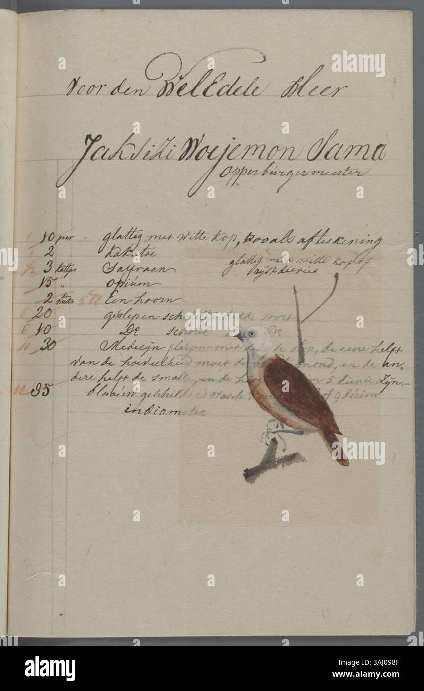 L'estampe de 1830 représente un munia à tête blanche (Lonchura maja), une espèce originaire d'Indonésie. L'oiseau est représenté en relation avec les dons néerlandais apportés au Shogun japonais au début du XVIIIe siècle, mettant en évidence les échanges culturels entre les pays-Bas et le Japon. Banque D'Images