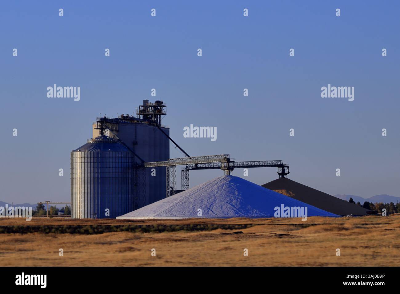 Deux grands silos métalliques cylindriques avec toits coniques et un système de convoyage traitent des matériaux en vrac près d'une installation de stockage à Spokane, Washington, États-Unis Banque D'Images