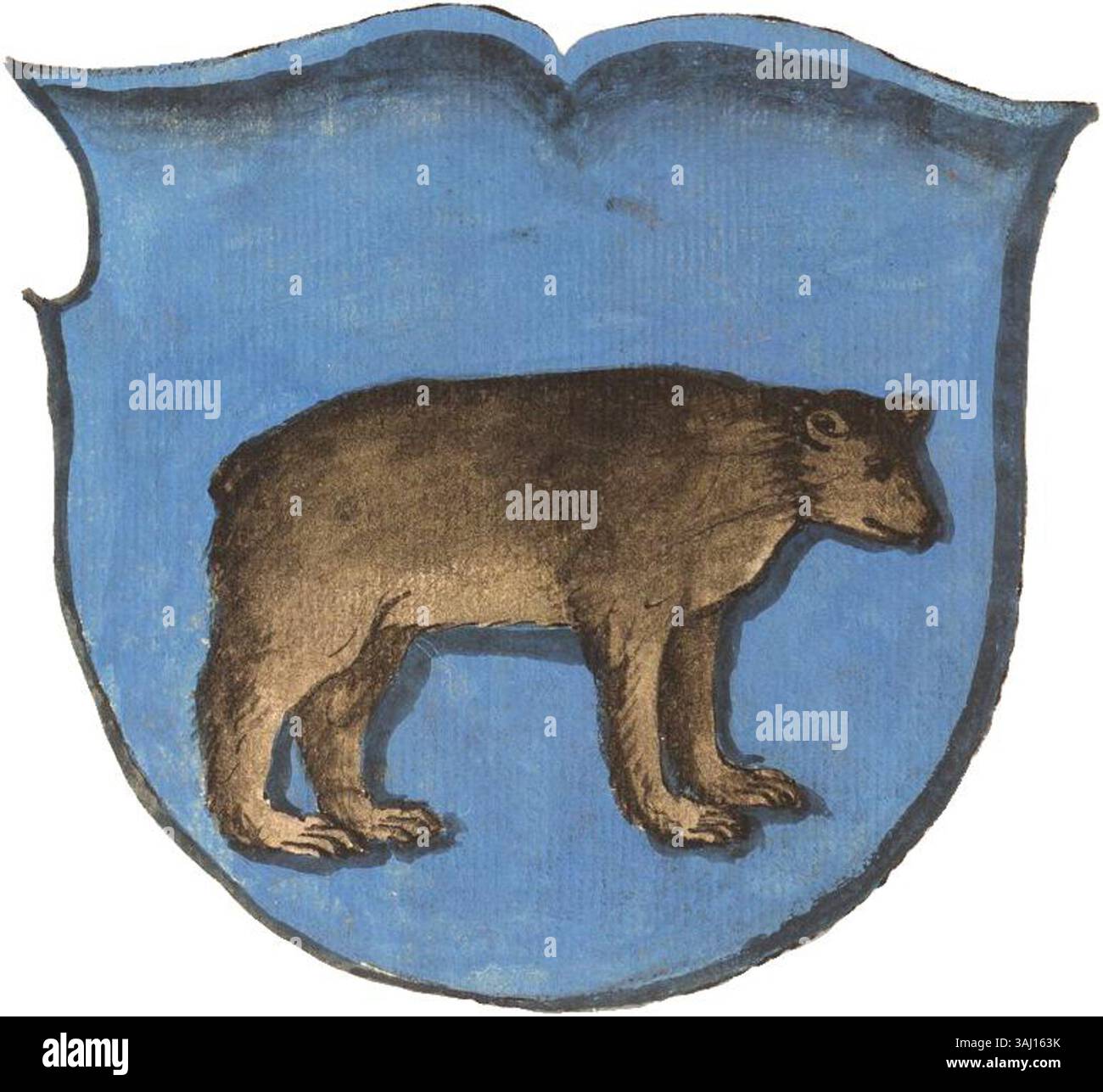 Compilation d'armoiries polonaises de la voïvodie de Kiev entre 1601 et 1700, reflétant les traditions héraldiques et l'histoire régionale de l'époque. Banque D'Images