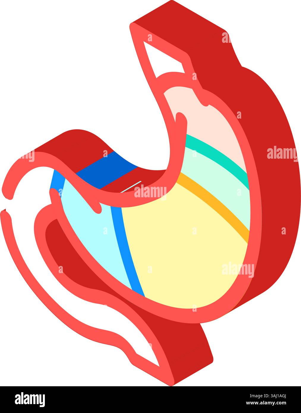 illustration vectorielle isométrique d'icône gastro-entérologue d'anatomie de l'estomac Illustration de Vecteur