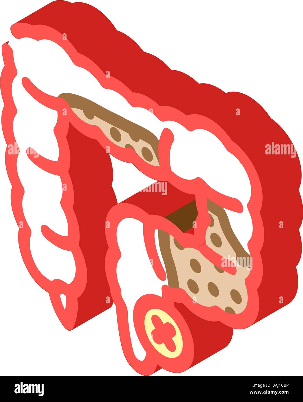 illustration vectorielle d'icône isométrique de traitement de la constipation Illustration de Vecteur