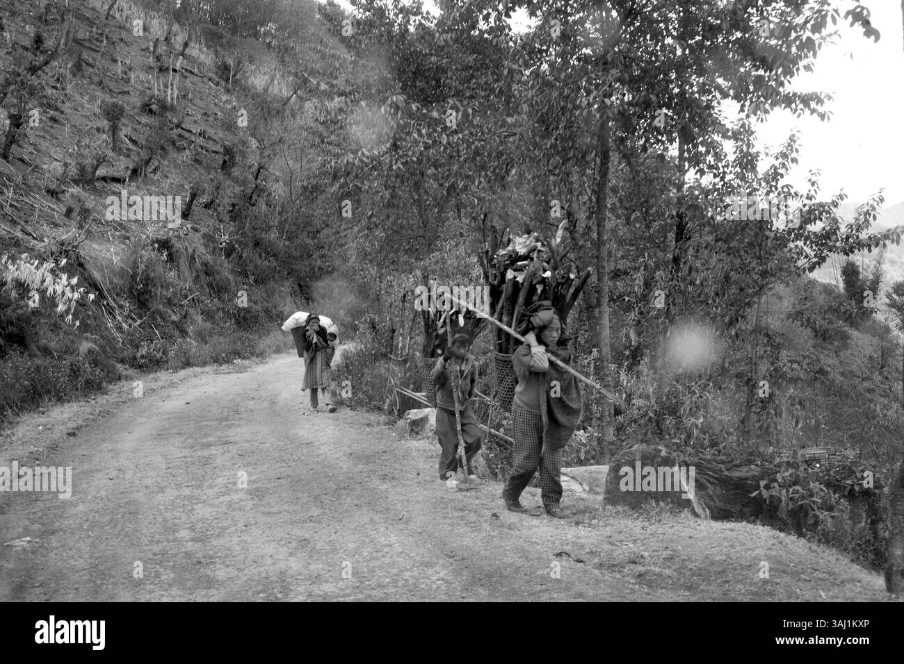 19 février 2011 - , Inde - NORD-EST DE L'INDE - LA RÉGION OUBLIÉE le Nord-est de l'Inde, également connu comme la terre des sept sœurs, comprend les États de l'Arunachal Pradesh, Assam, Manipur, Meghalaya, Mizoram, le Nagaland et le Tripura, qui représentent collectivement environ 8 % de la zone géographique du pays et environ 4 % de sa population. La région est connue pour sa diversité ethnique, linguistique, culturelle, religieuse et physiographique. Le nord-est de l'Inde fait partie d'une grande forêt tropicale humide qui s'étend des collines de l'Himalaya à la pointe du Peni malaisien Banque D'Images