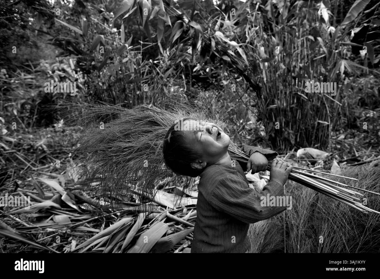 Feb 14, 2011 - , Inde - NORD-EST DE L'INDE - LA RÉGION OUBLIÉE le Nord-est de l'Inde, également connu comme la terre des sept sœurs, comprend les États de l'Arunachal Pradesh, Assam, Manipur, Meghalaya, Mizoram, le Nagaland et le Tripura, qui représentent collectivement environ 8 % de la zone géographique du pays et environ 4 % de sa population. La région est connue pour sa diversité ethnique, linguistique, culturelle, religieuse et physiographique. Le nord-est de l'Inde fait partie d'une grande forêt tropicale humide qui s'étend des collines de l'Himalaya à la pointe du Peni malaisien Banque D'Images