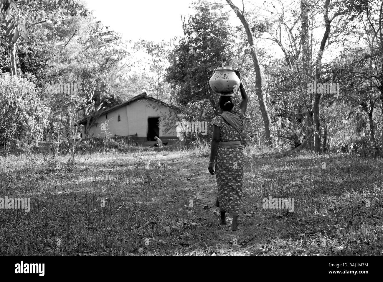 18 février 2013 - , Inde - Jashoda, dans ses 40 ans, transporte l'eau d'un étang voisin à sa maison. Jashoda a du mal à obtenir de l'eau potable, car d'autres villageois insistent pour qu'elle utilise les points d'eau fréquentés quand personne n'est présent. Je suis d'une caste inférieure, donc la caste supérieure a refusé de me donner de l'eau du puits du village. ÔI' Cependant, ce refus d'eau - un besoin humain fondamental - était une discrimination réservée à elle seule ; les frères de Jashoda et leurs familles n'ont subi aucun tel traitement. ÔThey L'a fait parce que j'étais une femme célibataire', dit Jashoda. (Crédit image : © Sri Kolari/Osfam India via ZUMA Wire) Banque D'Images