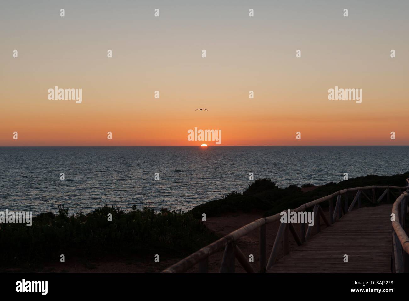 Coucher de soleil à couper le souffle sur la mer avec une mouette planant au-dessus de l'horizon et un sentier en bois le long de la côte Banque D'Images