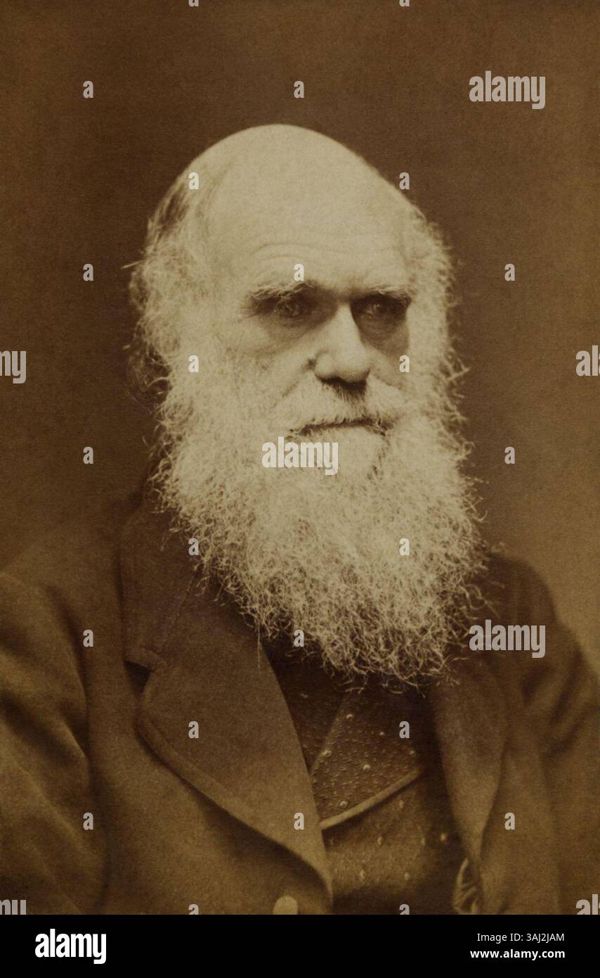 Portrait de Charles Darwin, réalisé par Elliott & Fry entre 1862 et 1882, probablement des années 1860 La barbe complète de Darwin, qu'il a commencé à cultiver au début des années 1860, est bien en vue, reflétant son look emblématique de cette période. Banque D'Images