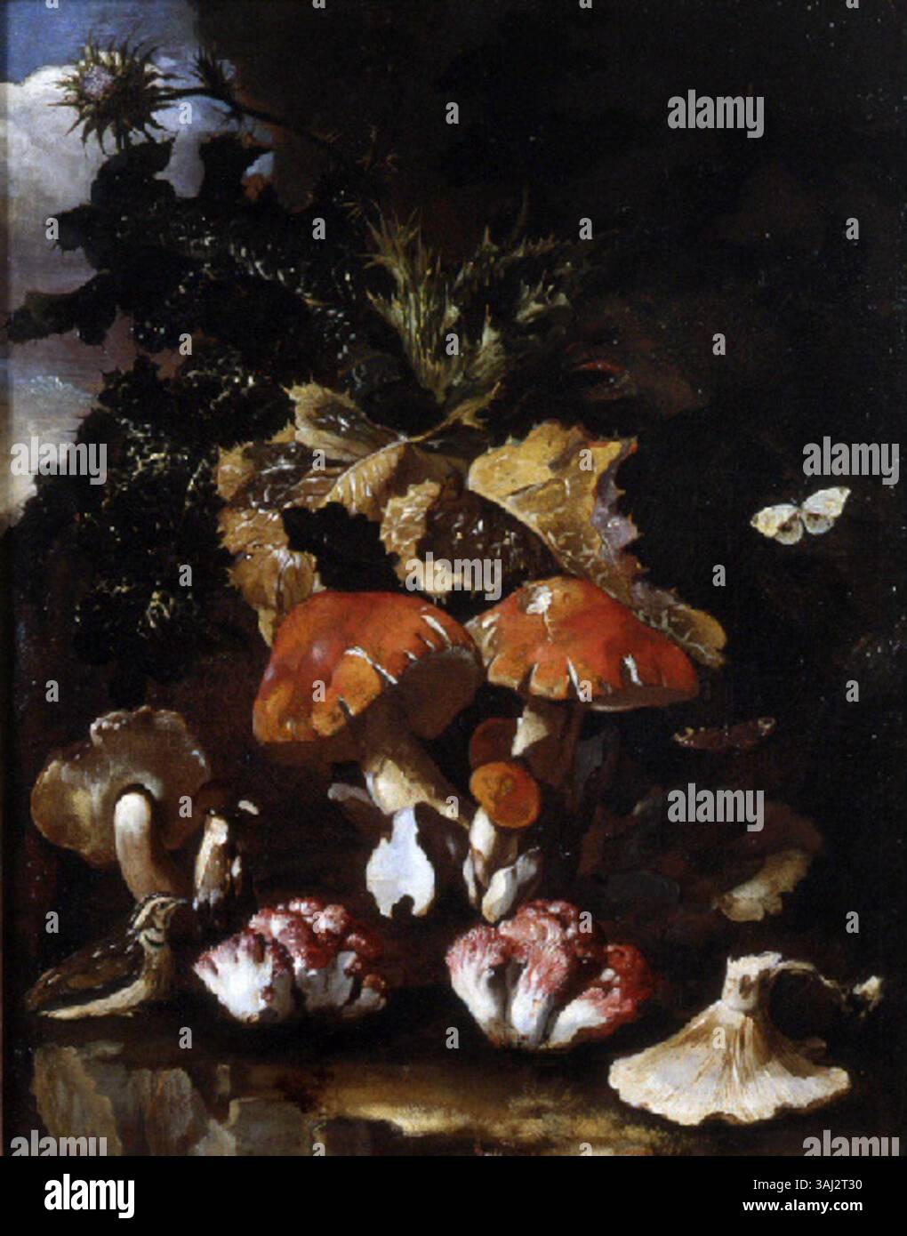 « Sous-bois avec champignons » de Paolo Cattamara est une peinture du XVIIe siècle représentant une scène forestière avec des champignons. L'huile sur toile reflète le style naturaliste de l'époque. Banque D'Images