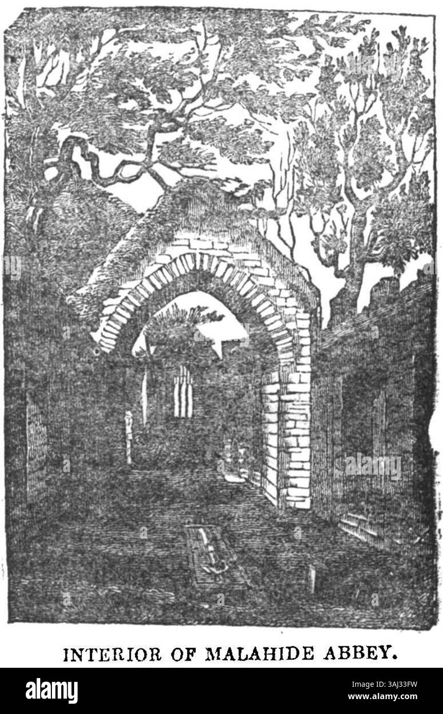 Cette illustration de 1834 représente l'intérieur de l'abbaye de Malahide, un bâtiment historique dans le comté de Dublin, en Irlande. Il offre un aperçu de l'architecture de l'abbaye et de son importance historique au XIXe siècle. Banque D'Images