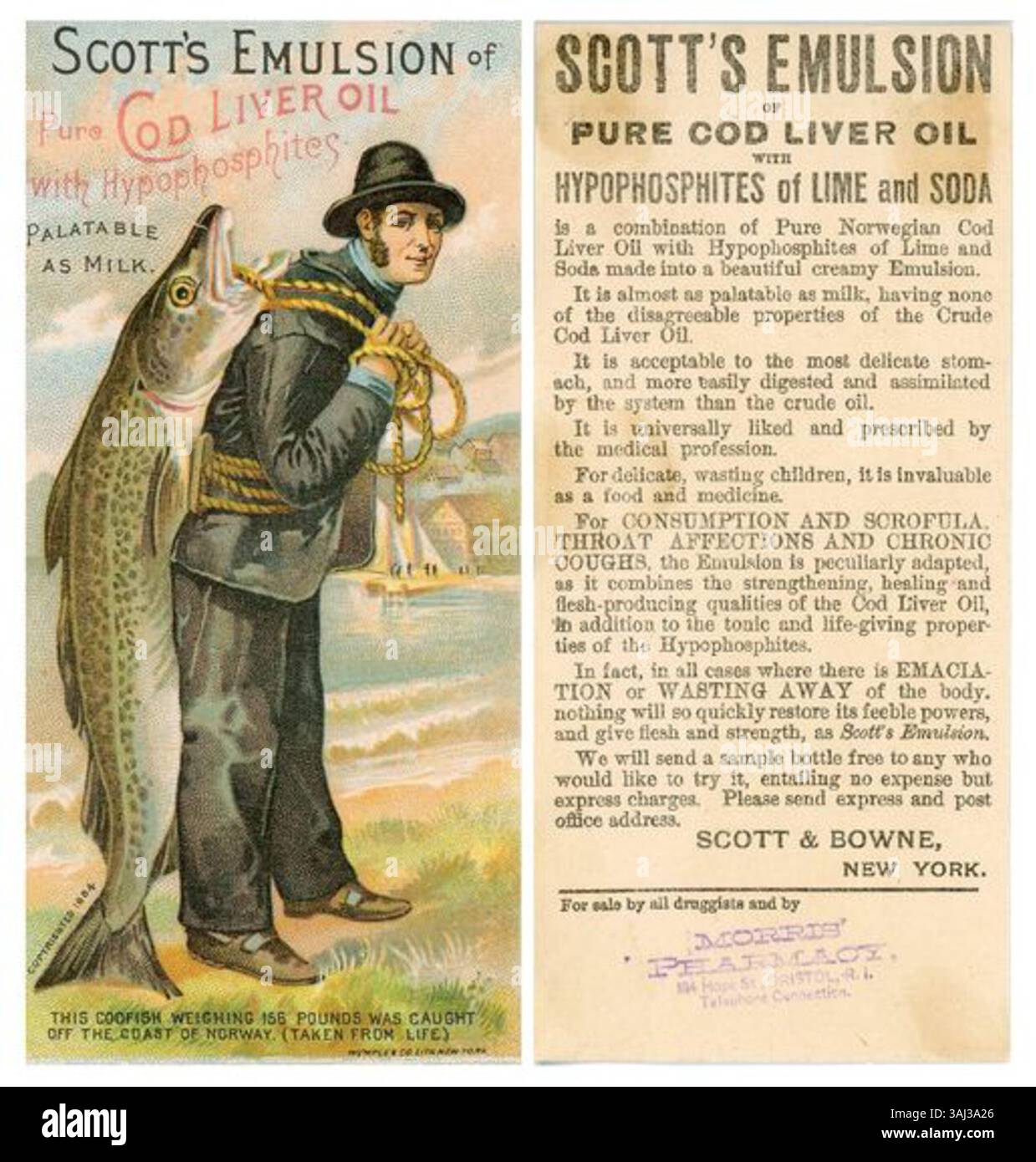 Cette carte commerciale de 1884 fait la promotion de Scotts Emulsion, un produit de Scott et Bowne, qui a commencé en 1876. Le produit, l'huile de foie de morue, a été commercialisé comme une option plus agréable au goût, devenant finalement célèbre pour son efficacité. Ce chromolithographe met en évidence son image de marque et sa popularité précoce. Banque D'Images