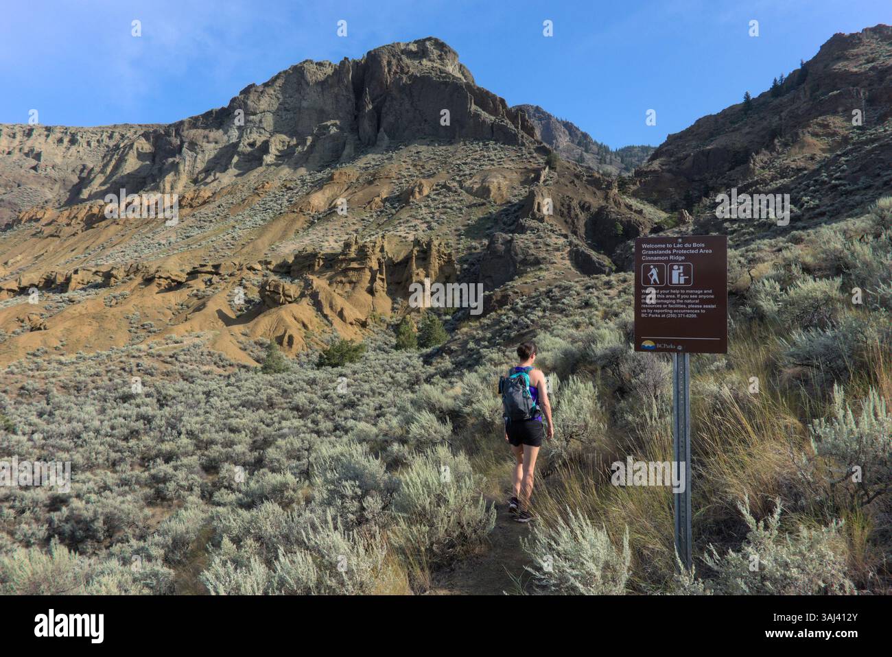 Aire protégée des prairies du lac du bois, Kamloops, Colombie-Britannique, Canada Banque D'Images