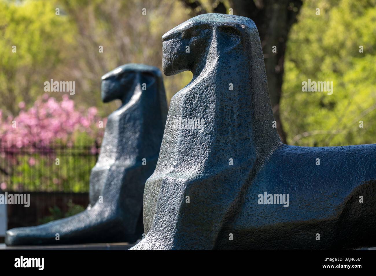 ARLINGTON, Virginie — deux lions de bronze conçus par le sculpteur néerlandais Paul Philip Koning gardent l'entrée du Carillon néerlandais dans le parc Arlington Ridge. Les sculptures du lion symbolisent la famille royale néerlandaise et ont été installées dans le cadre du monument du carillon, qui a été offert par les pays-Bas aux États-Unis en reconnaissance de l'aide américaine pendant et après la première Guerre mondiale. Le Carillon néerlandais se trouve près du cimetière national d'Arlington avec vue sur le National Mall de l'autre côté du fleuve Potomac. Banque D'Images