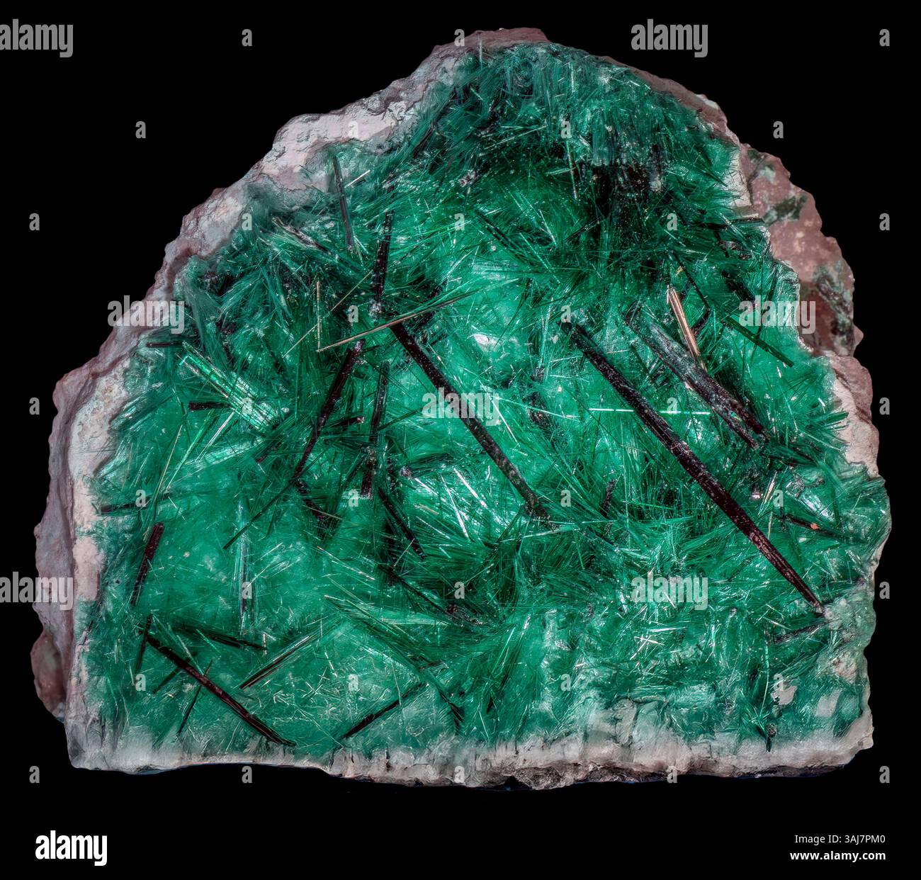 Brochantite, Santa Cruz, Mexique Banque D'Images