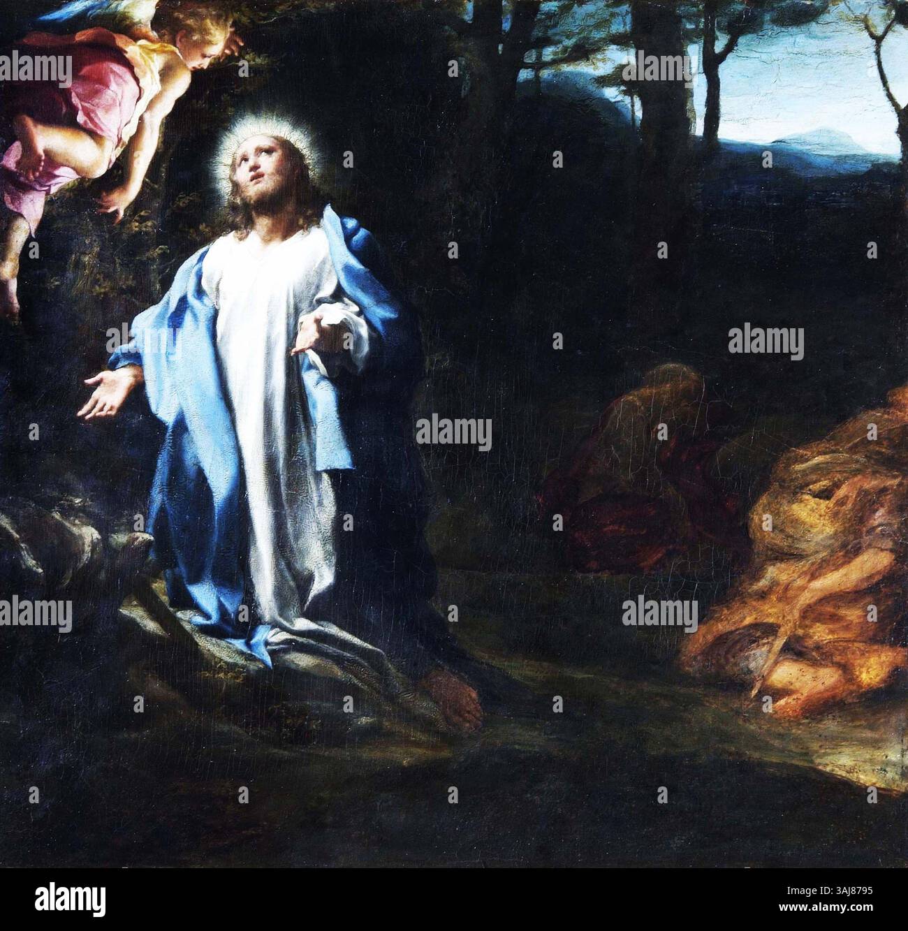 « L'agonie dans le jardin » de Correggio, vers 1525, représente l'angoisse du Christ dans le jardin de Gethsémani. Exposé à Apsley House, il s'agit d'une œuvre importante dans l'art religieux, mettant en valeur la maîtrise de Correggio dans la représentation de l'émotion et de la souffrance divine. Banque D'Images