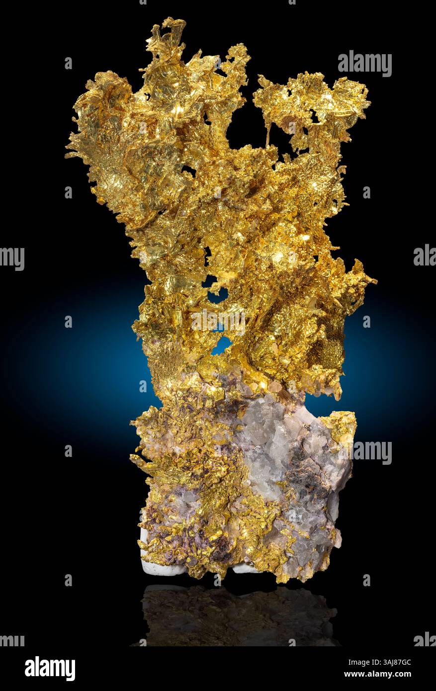 Or et quartz, mine Eagle's Nest, Californie L'or de la mine Eagle's Nest, Californie, est réputé pour son spectaculaire or natif cristallisé Banque D'Images