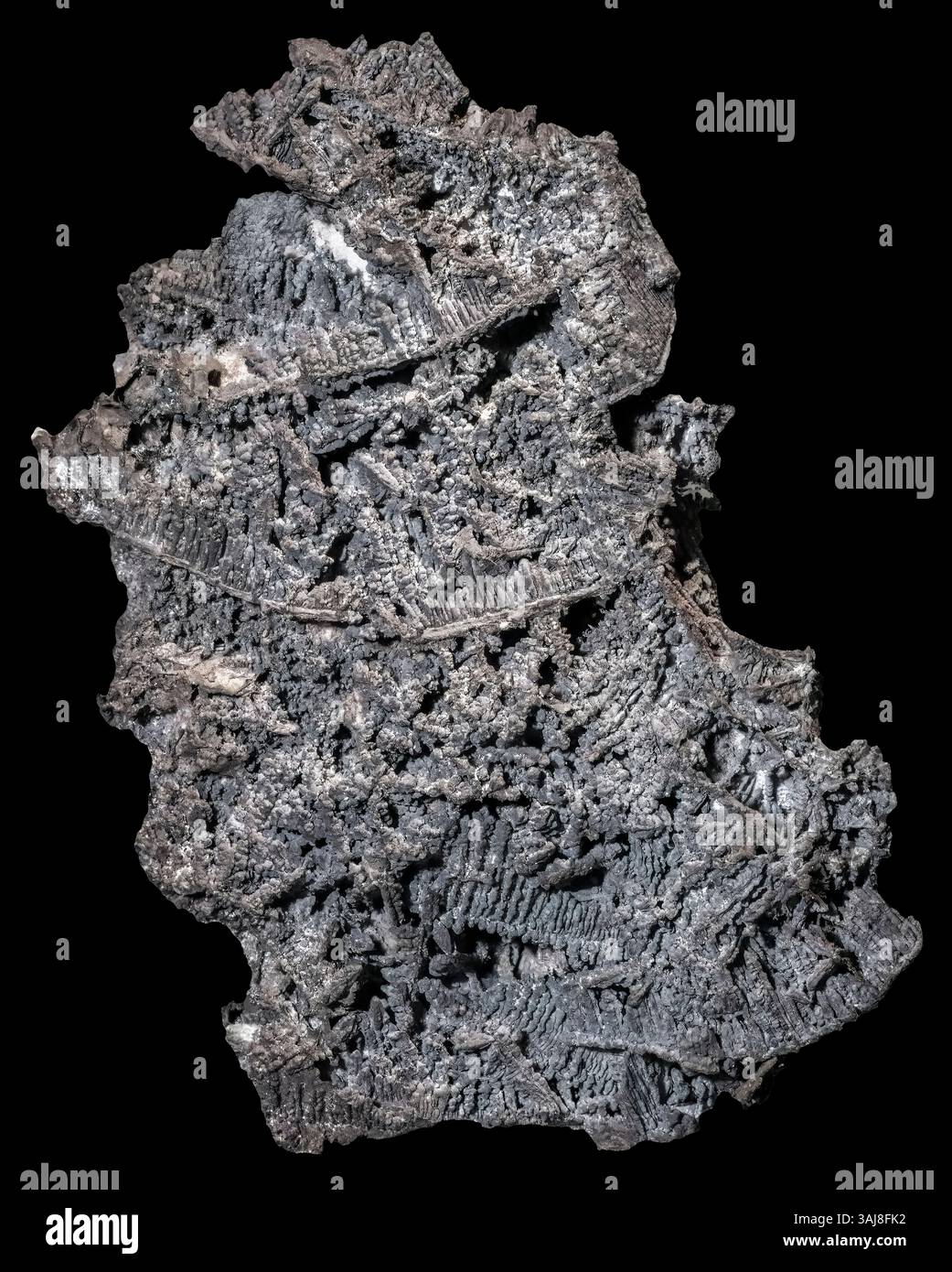 Native Silver, Ontario, Canada Banque D'Images