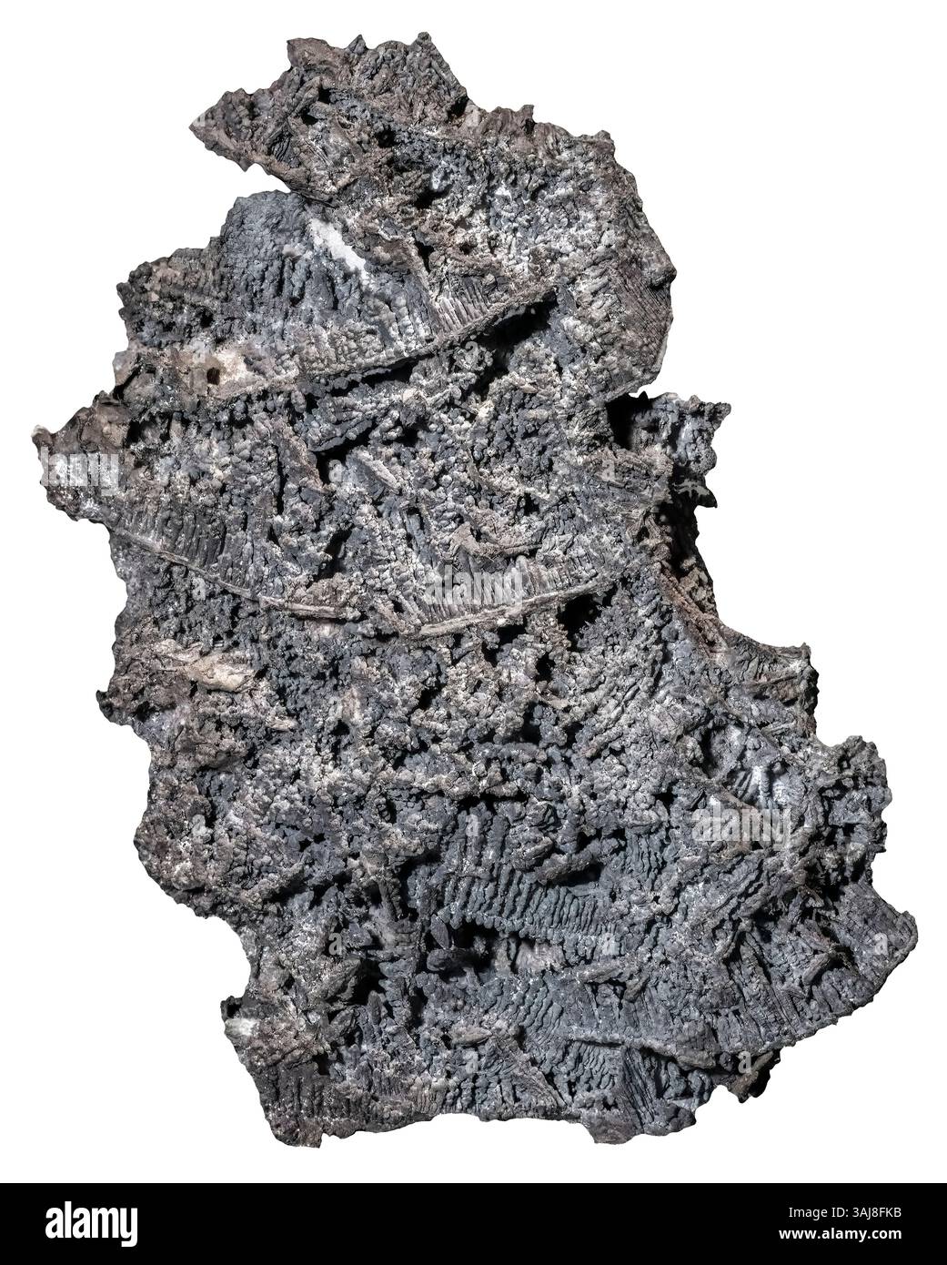 Native Silver, Ontario, Canada Banque D'Images