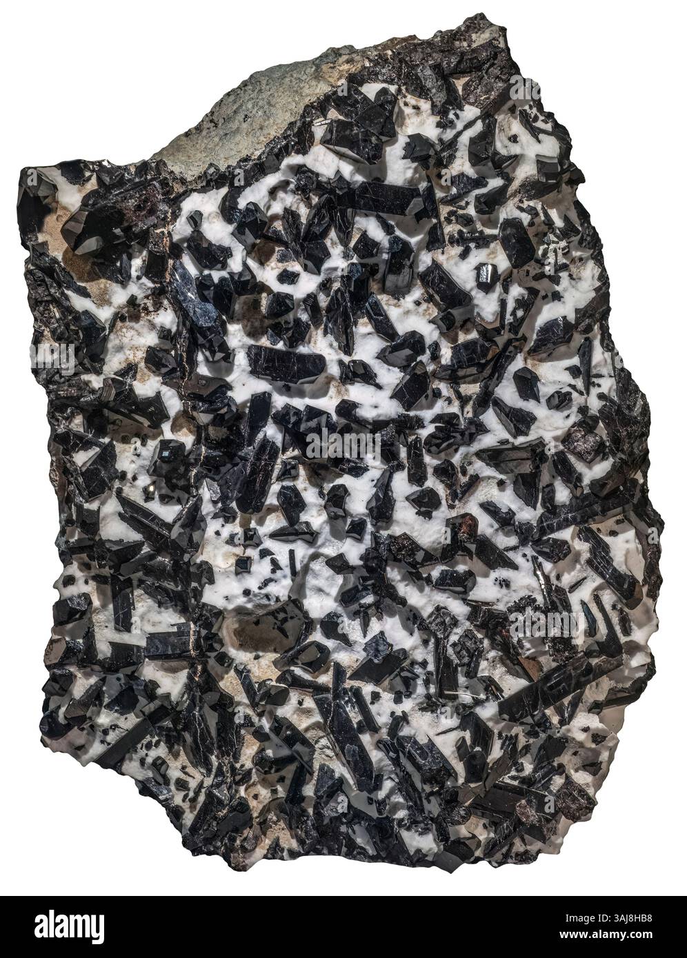 Neptunite, comté de San Benito, Californie Banque D'Images