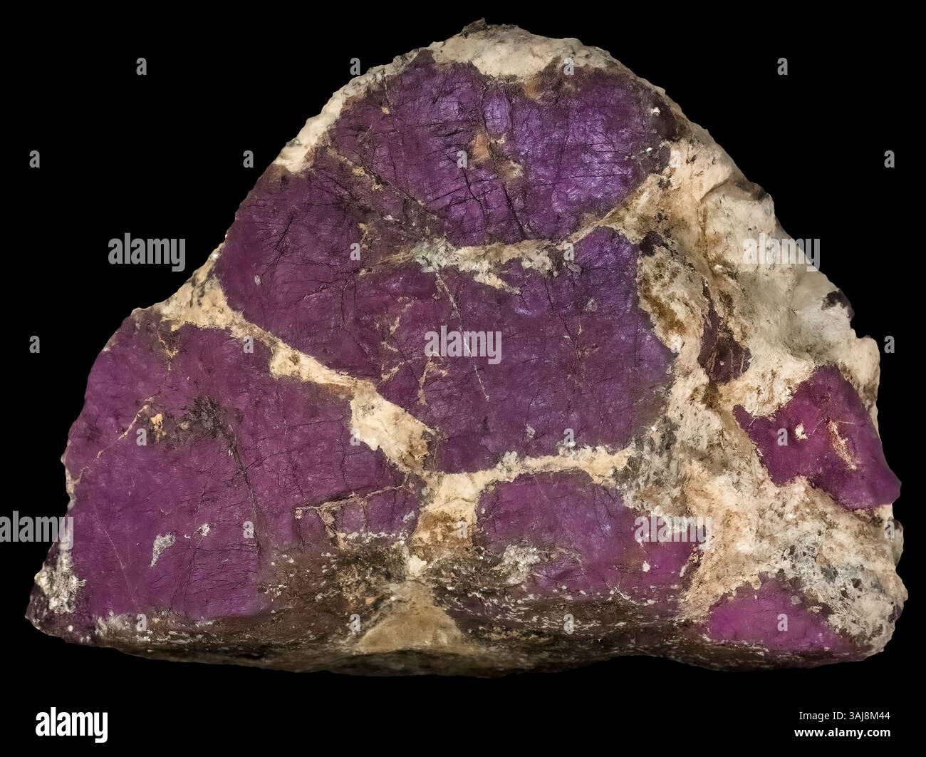Purpurite - Heterosite, Purple Haze, comté de Larimer, Colorado Banque D'Images