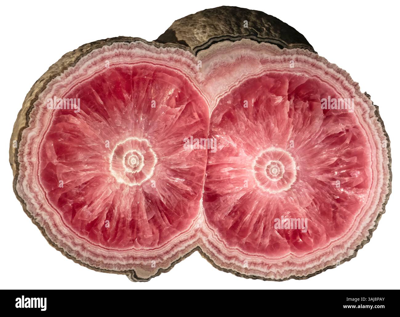 Rhodochrosite stalactite, province de Catamarca, Argentine Banque D'Images