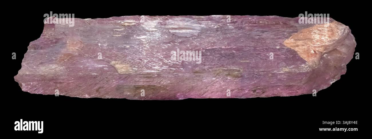Spodumene variété Kunzite, Minas Gerais, Brésil (16' de long) Banque D'Images