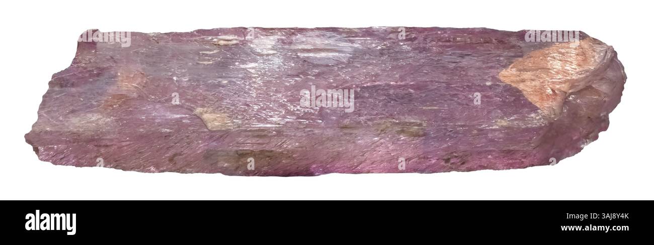 Spodumene variété Kunzite, Minas Gerais, Brésil (16' de long) Banque D'Images