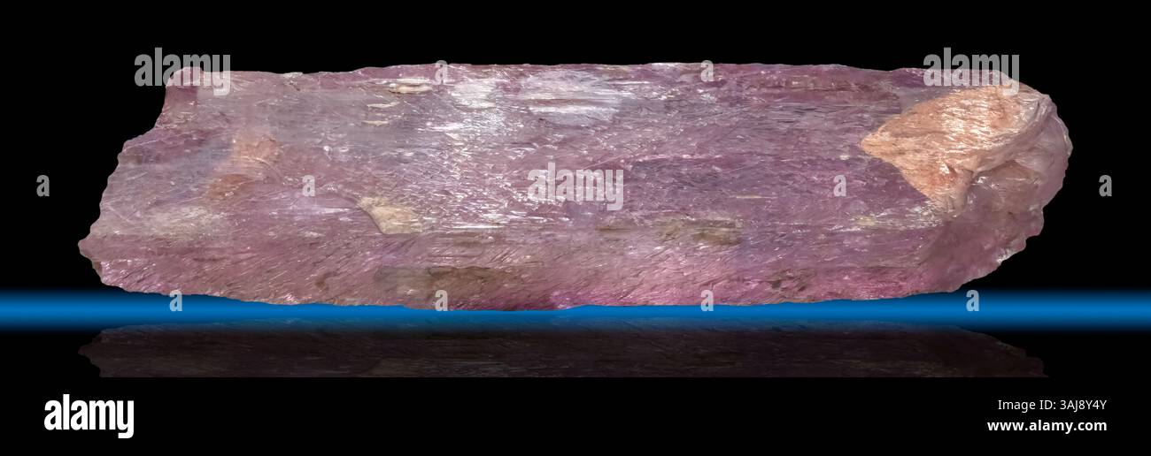 Spodumene variété Kunzite, Minas Gerais, Brésil (16' de long) Banque D'Images