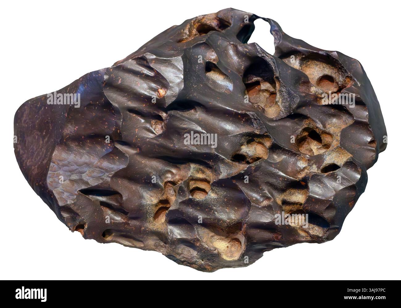 Ventifact, désert du Sahara Occidental Banque D'Images