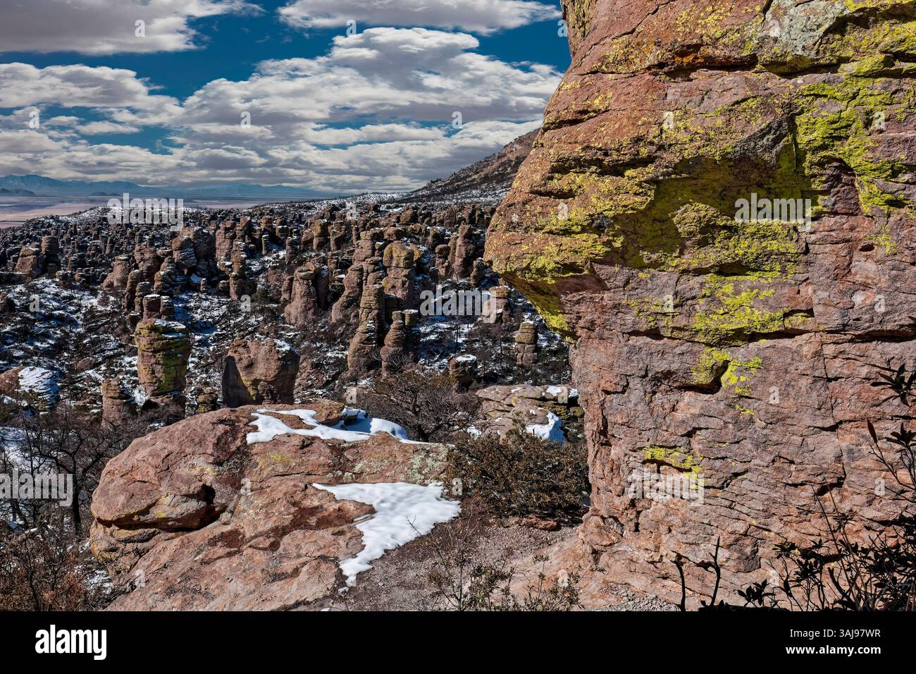 Terre des rochers debout, dépôt de rhyolite volcanique, monument national Chiricahua, Arizona Banque D'Images