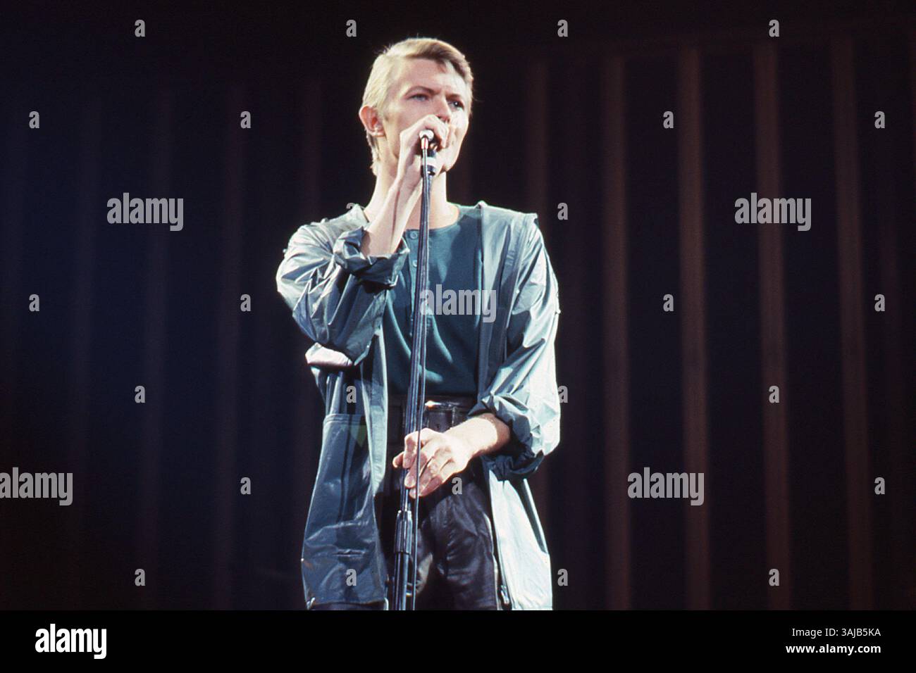 David Bowie, Providence Civic Center, Rhode Island, États-Unis, 5 mai 1978. Banque D'Images