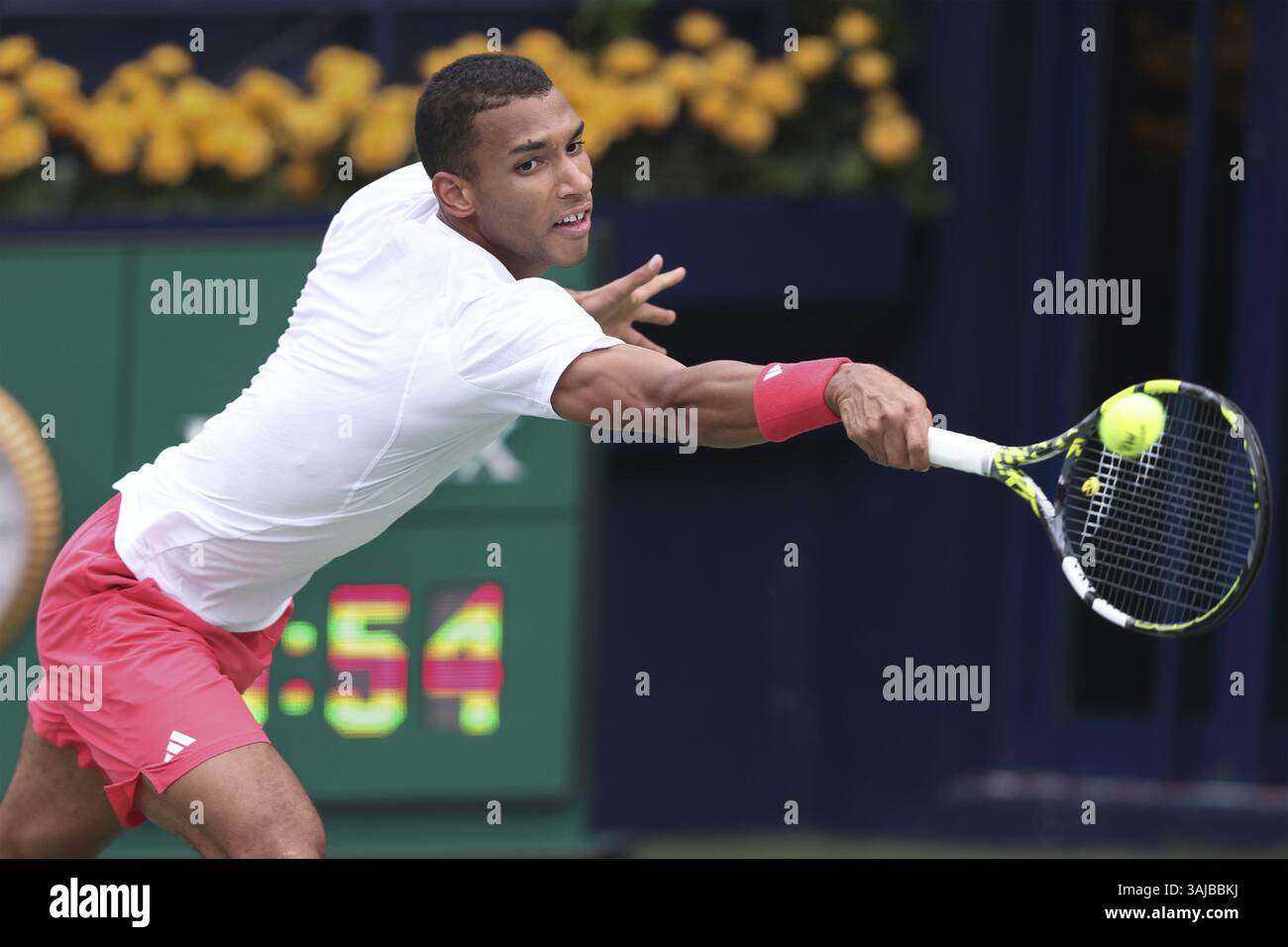 Felix Auger-Aliassime (CAN), Dubaï Duty Free Tennis Championships, Dubaï, U.A.E. Tennis - Dubaï Tennis Championships 2025 - Dubaï - ATP 500 - Dubaï du Banque D'Images