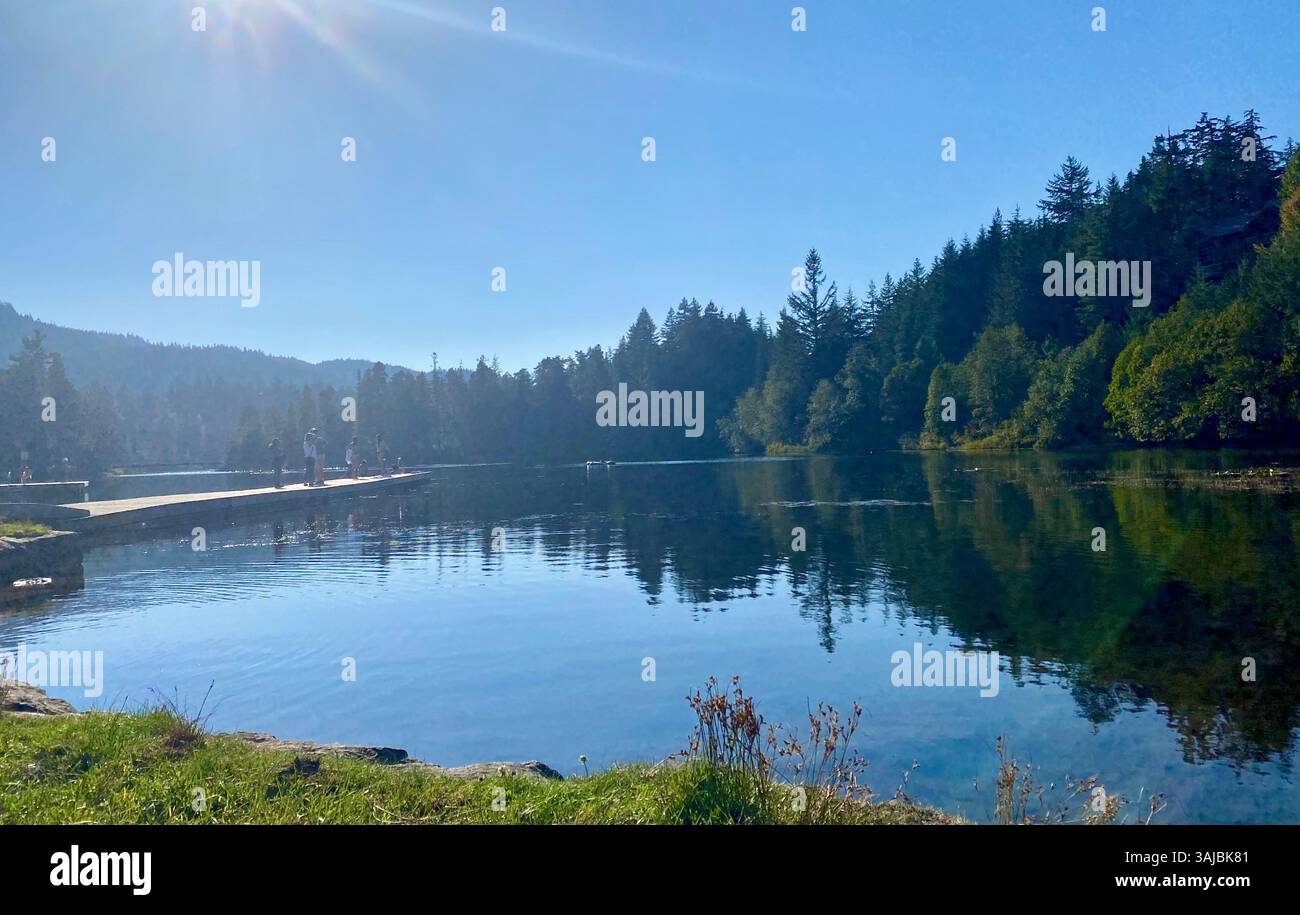 Scène ensoleillée du lac avec réflexion forestière et quai - Image de stock capturée avec un smartphone