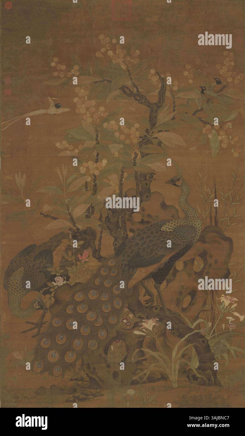 Cette peinture du XIe siècle de Cui Bai, mettant en vedette des paons et un arbre loquat, est un exemple parfait de l'art de la dynastie Song, mettant en valeur un pinceau délicat et des thèmes symboliques de la beauté et de la nature. Il est logé dans le Musée national du Palais. Banque D'Images