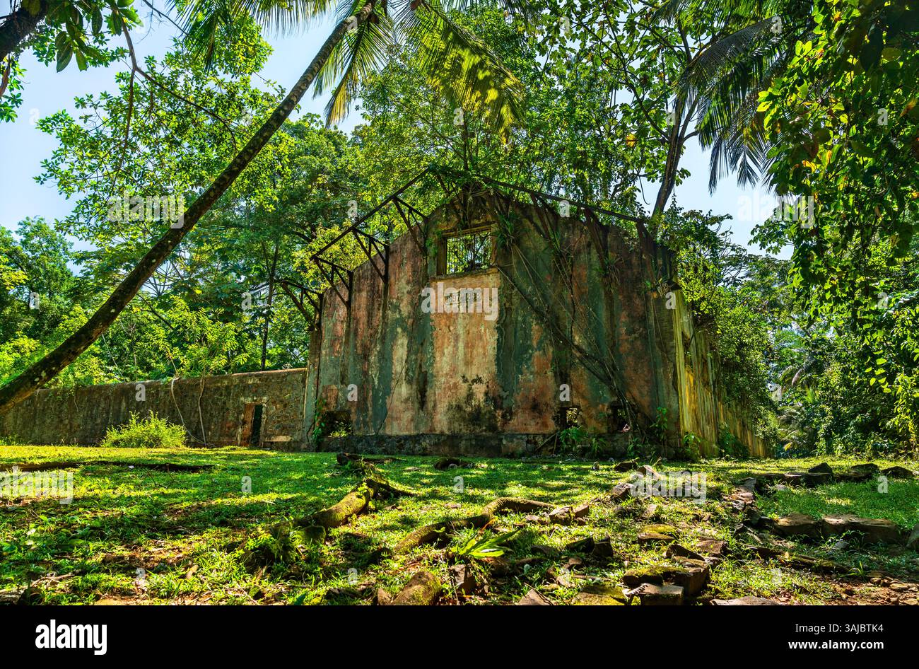 Anciennes ruines de la colonie pénitentiaire notoire de l'île Saint Joseph, îles du Salut, Guyane française, Amérique du Sud Banque D'Images