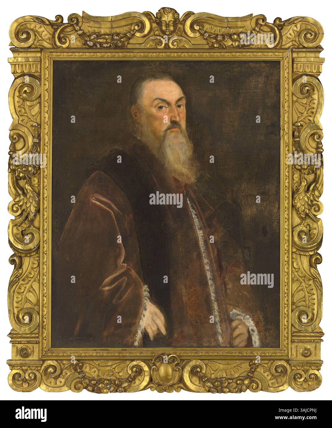 Portrait d'un sénateur vénitien, représenté à mi-longueur en robes rouges, peint par Jacopo Tintoretto. La peinture date du XVIe siècle, mettant en valeur la maîtrise du Tintoret en portrait et en vénitien Banque D'Images