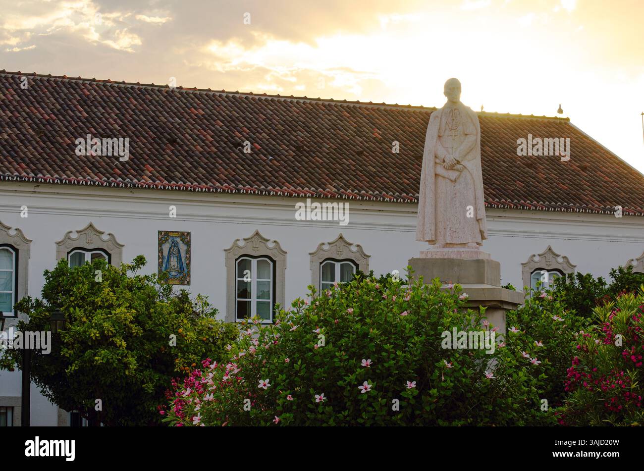 Grands arbres qui fleurissent au Portugal. Coucher de soleil. Banque D'Images