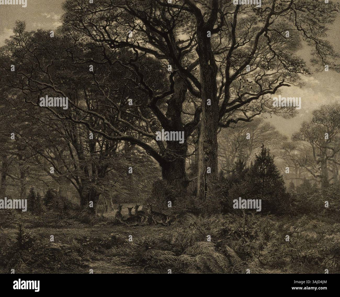 La lithographie de Karl Bodmer et Eugène le Roux 'Forêt de Fontainebleau 1' présente une représentation détaillée de la forêt de Fontainebleau en France. Cette œuvre, créée en 1850/51, se concentre sur l'environnement naturel tranquille mais riche, reflétant l'accent romantique mis sur la splendeur de la nature et l'importance de la forêt dans l'histoire de l'art français. Banque D'Images