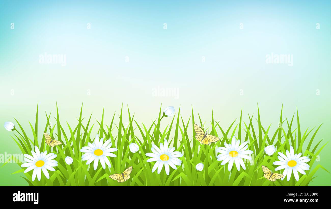 L'herbe verte et ciel bleu Banque D'Images