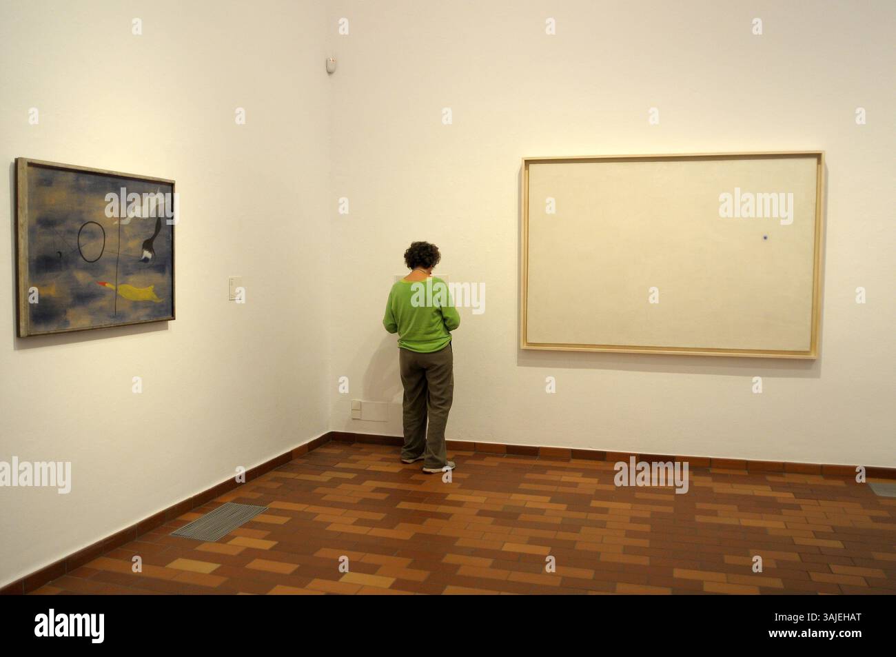 Fondation Joan Miro ; peinture ; détail ; dessin ; Joan Miró artiste ; artiste espagnol Joan Miro ; Barcelone ; Fundacio Miró ; Montjuic ; ville de Barcelone. CON Banque D'Images