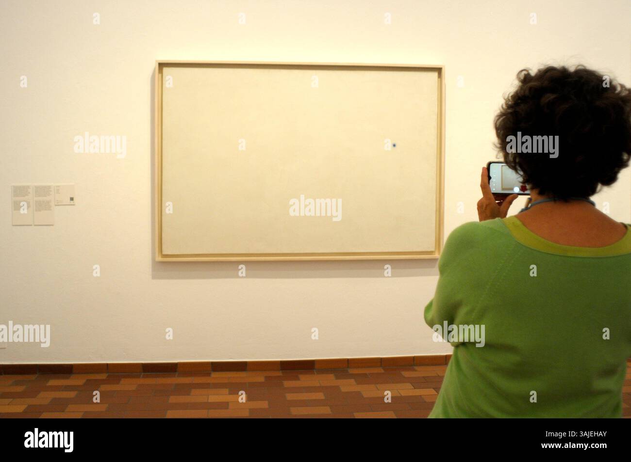 Fondation Joan Miro ; peinture ; détail ; dessin ; Joan Miró artiste ; artiste espagnol Joan Miro ; Barcelone ; Fundacio Miró ; Montjuic ; ville de Barcelone. CON Banque D'Images