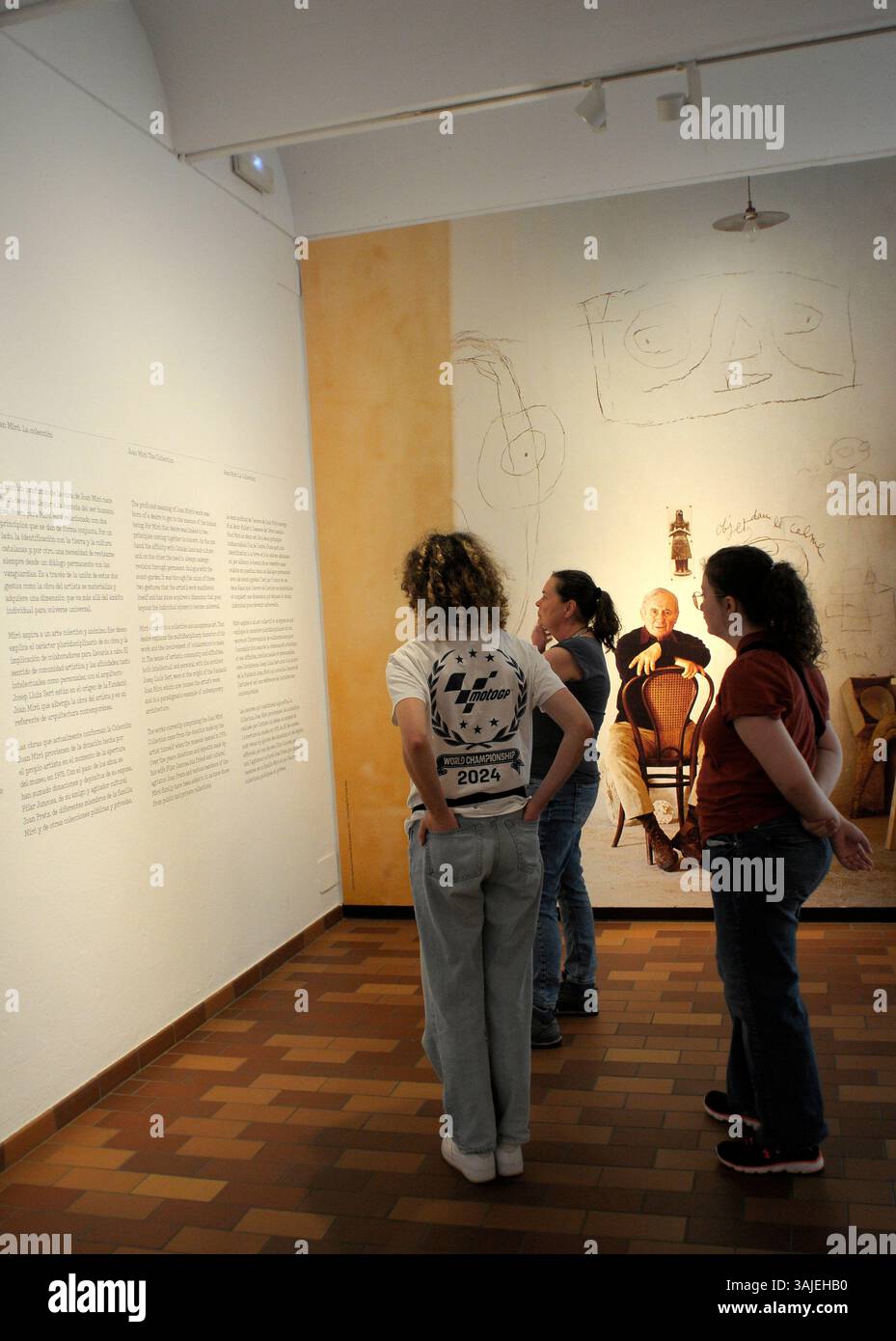 Fondation Joan Miro ; Fundacio Miró ; Montjuic ; ville de Barcelone. Art contemporain Banque D'Images