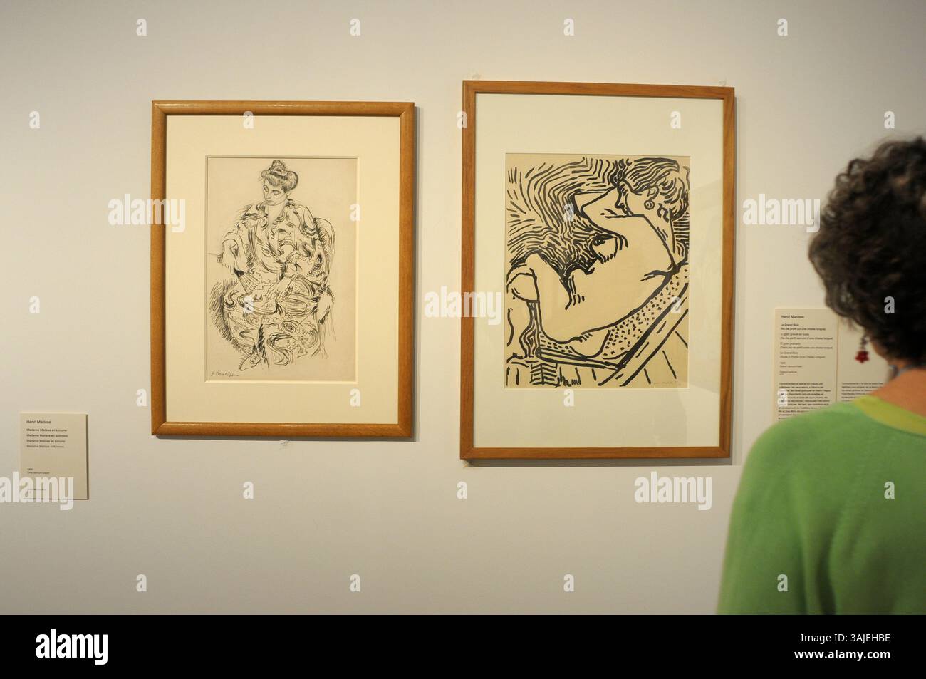 Henri Matisse à la fondation Joan Miro ; peinture ; détail ; dessin ; artiste Joan Miró ; artiste espagnol Joan Miro ; Barcelone ; Fundacio Miró ; Montjuic ; ville Banque D'Images