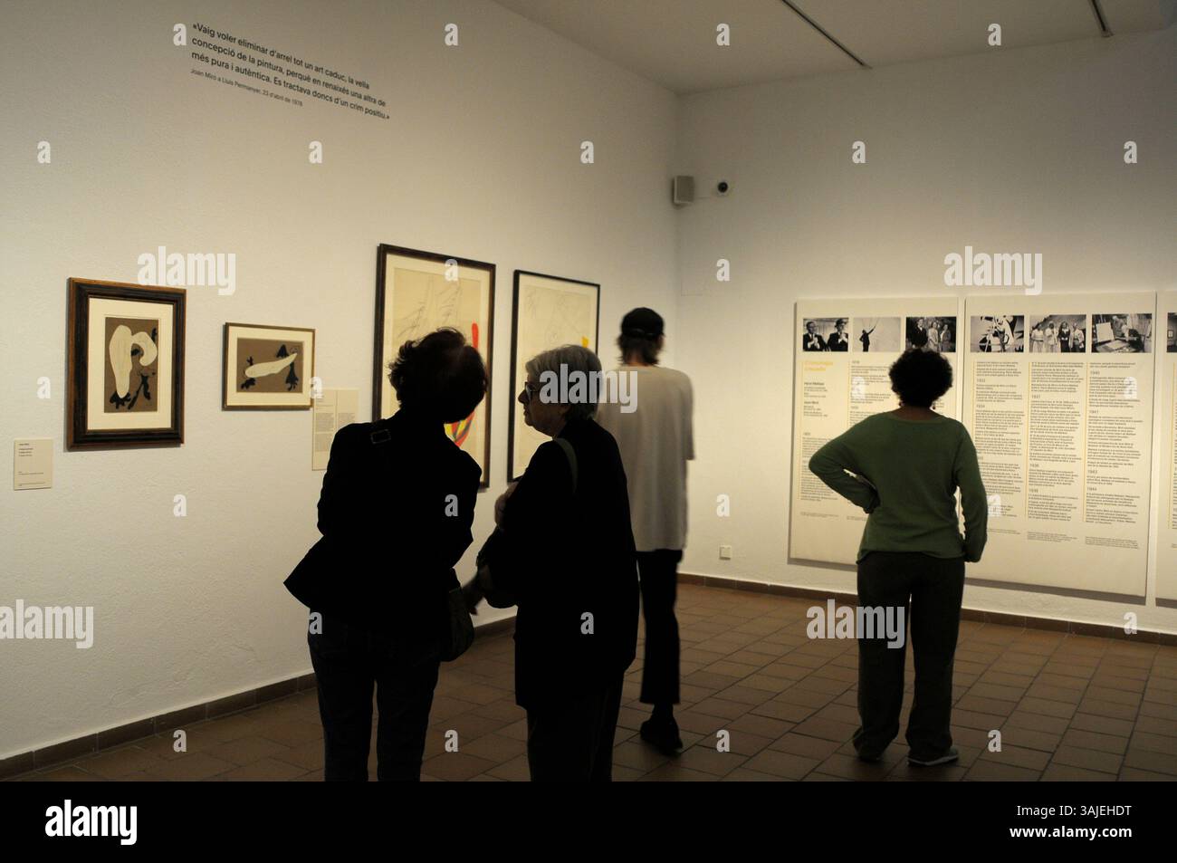 Henri Matisse à la fondation Joan Miro ; peinture ; détail ; dessin ; artiste Joan Miró ; artiste espagnol Joan Miro ; Barcelone ; Fundacio Miró ; Montjuic ; ville Banque D'Images