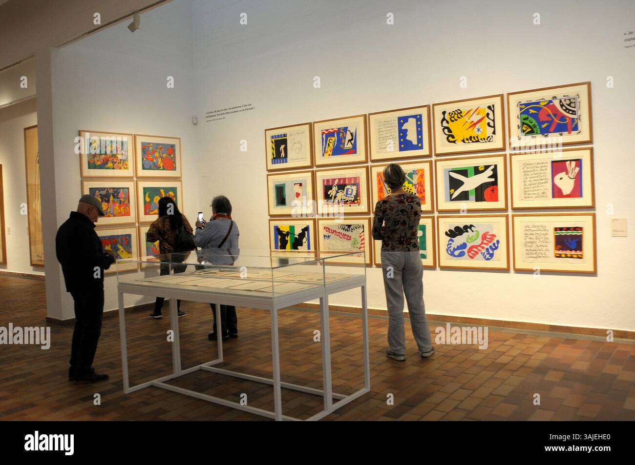 Exposition de peinture Henri Matisse et Joan Miró ; visiteurs d'exposition d'art ; Barcelone ; Fondation Miro ; peinture ; visiteurs ; femme regardant un tableau ; a Banque D'Images