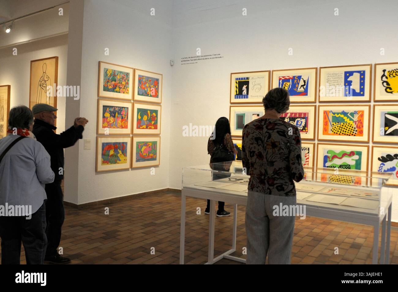 Exposition de peinture Henri Matisse et Joan Miró ; visiteurs d'exposition d'art ; Barcelone ; Fondation Miro ; peinture ; visiteurs ; femme regardant un tableau ; a Banque D'Images