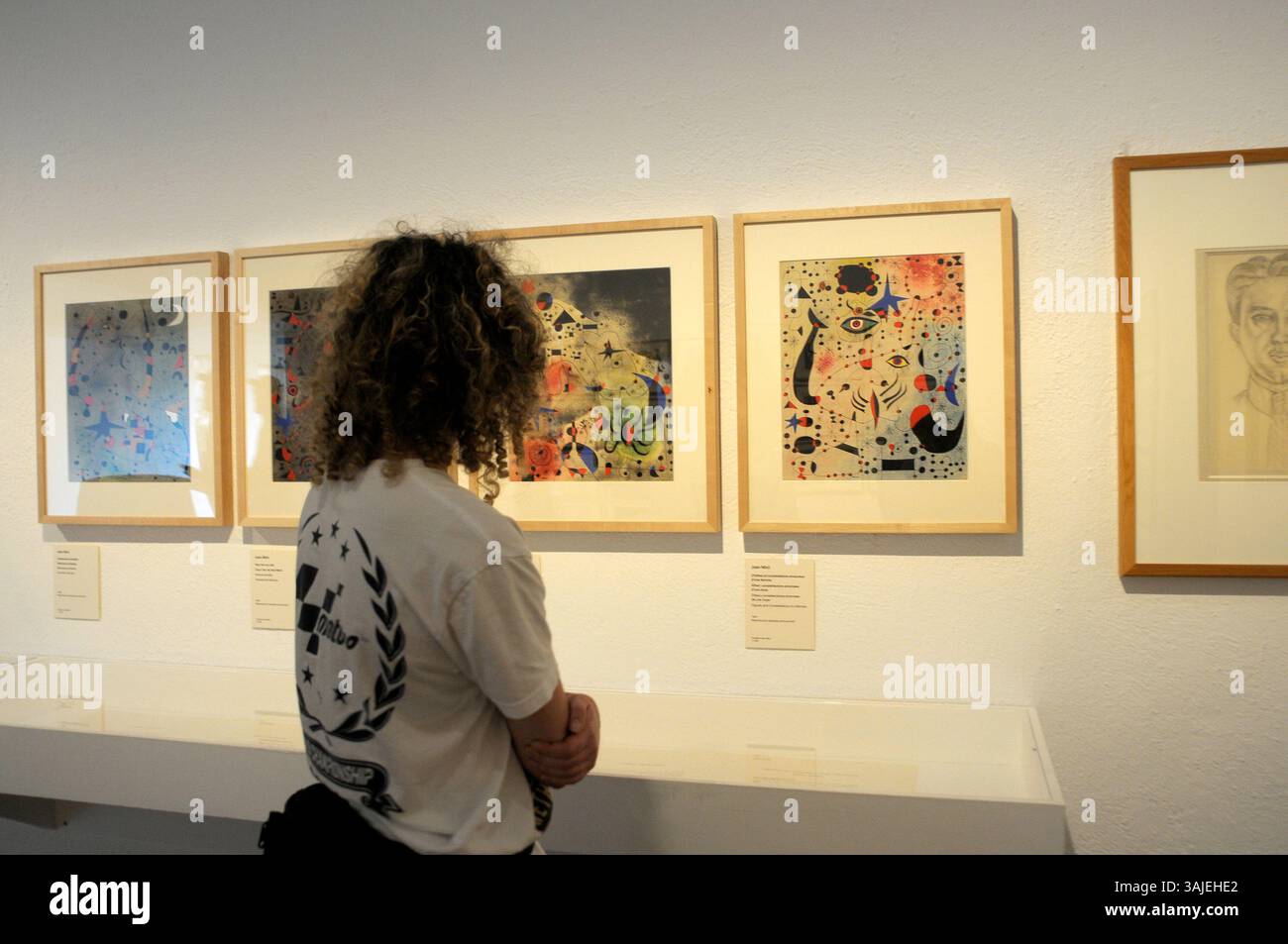 Exposition de peinture Henri Matisse et Joan Miró ; visiteurs d'exposition d'art ; Barcelone ; Fondation Miro ; peinture ; visiteurs ; femme regardant un tableau ; a Banque D'Images