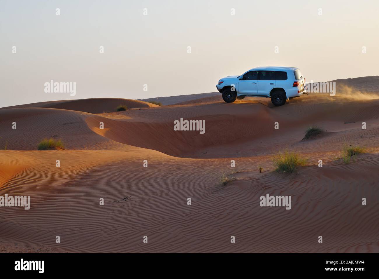 Désert de Rub Al Khali, Sultanat d'Oman - 5 avril 2025 : dune de voiture 4x4 se jetant sur le désert de Wahiba Sands au coucher du soleil, péninsule arabique. Concentrez-vous sur Banque D'Images